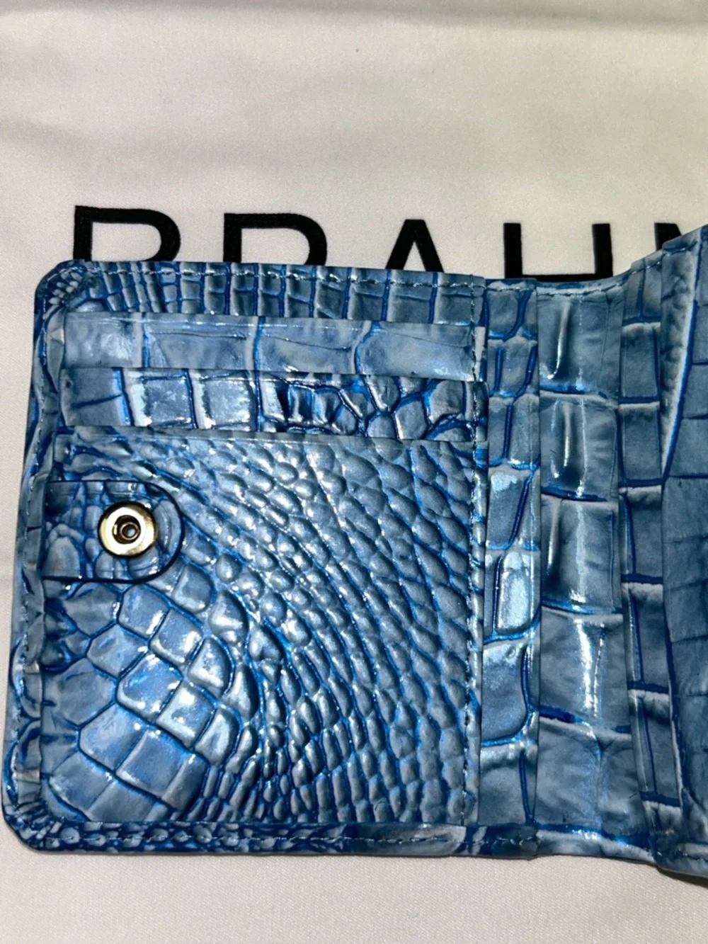 Brahmin gorgeous jane